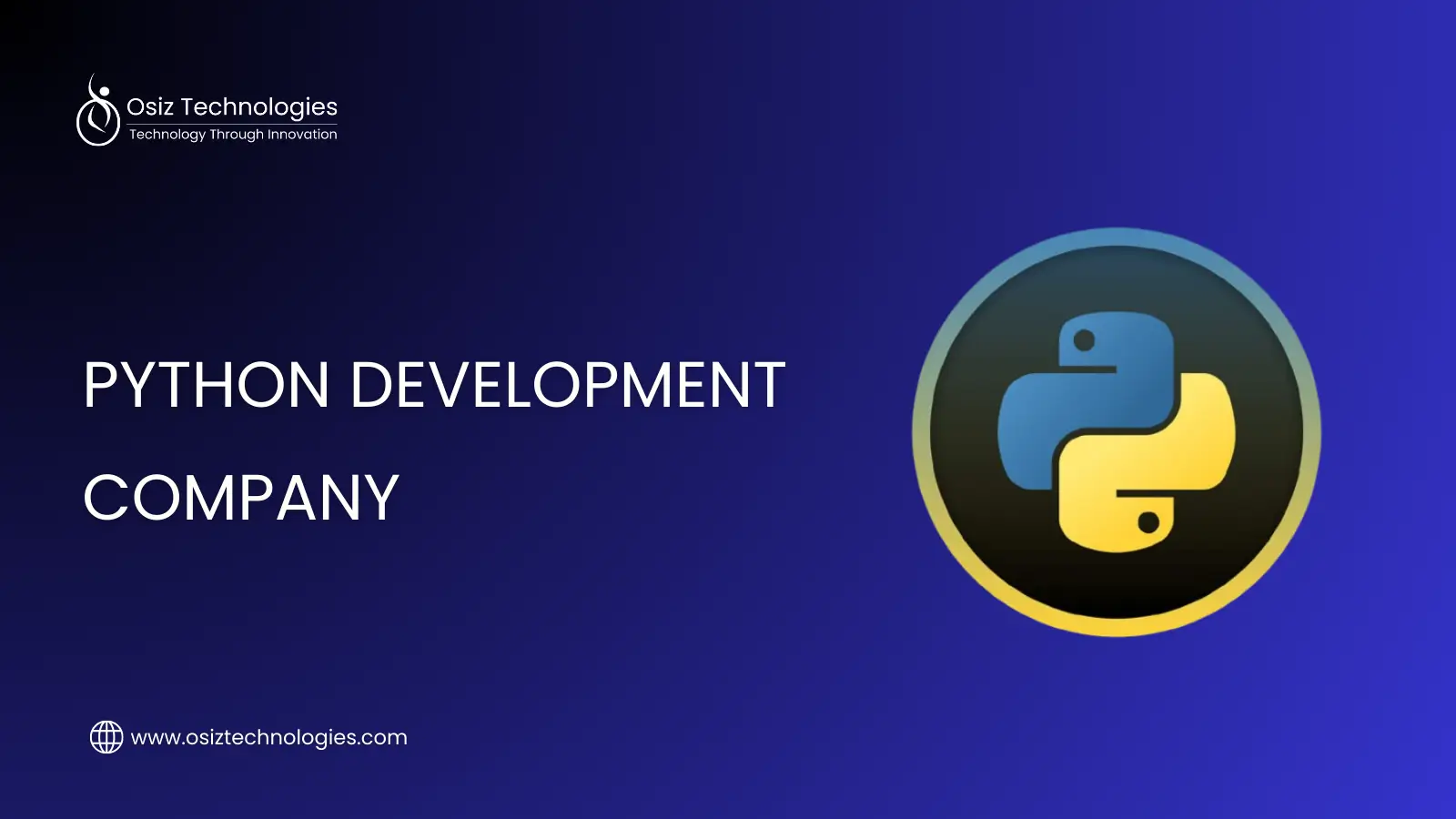 Python Development Company | Osiz