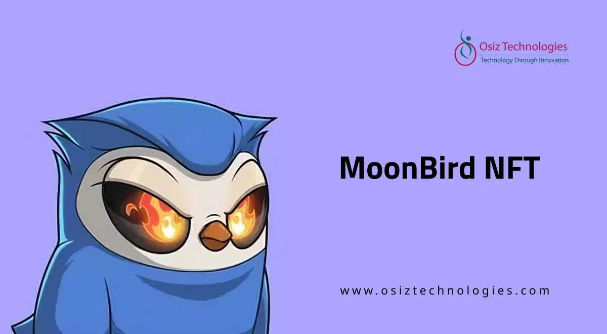 What is Moonbirds NFT